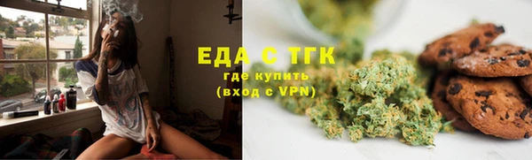 прущие грибы Абаза