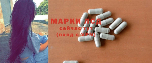 прущие грибы Абаза