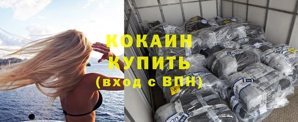 прущие грибы Абаза