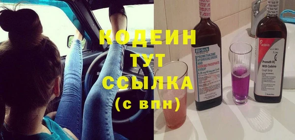 прущие грибы Абаза