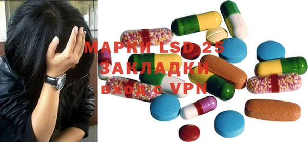 прущие грибы Абаза