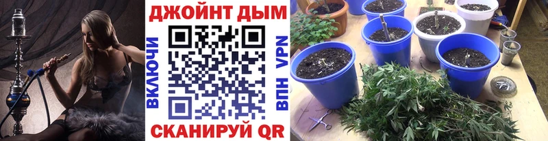 Марихуана Bruce Banner  Новопавловск 